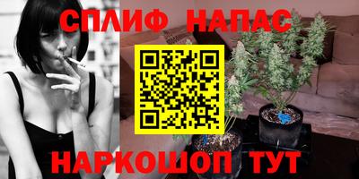Альфа ПВП Обнинск