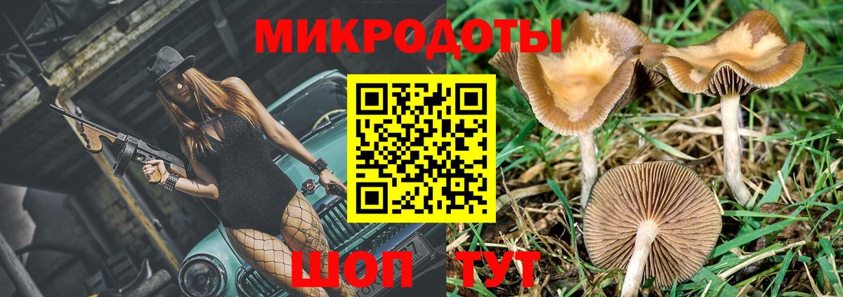Галлюциногенные грибы ЛСД  где купить наркотик  Вход с VPN  Свободный  Псилоцибиновые грибы MAGIC MUSHROOMS 